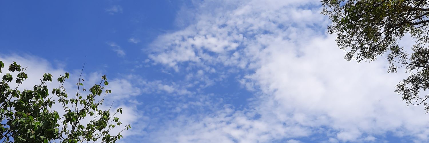 Pasho soehardjo banner