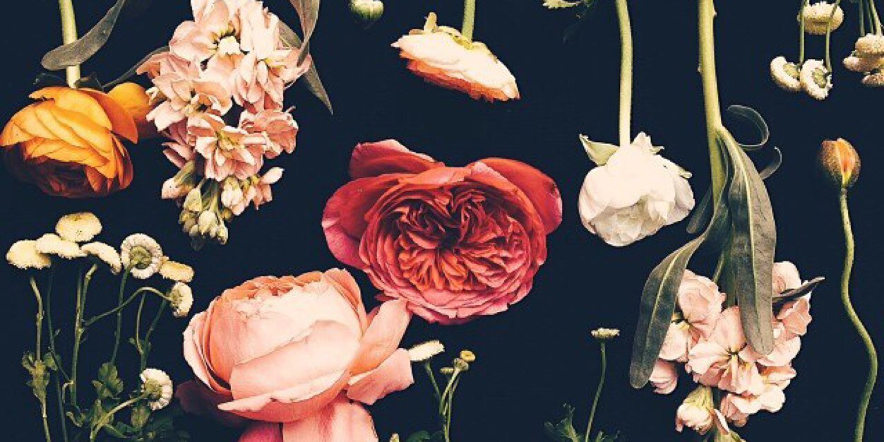 _thosepromises's profile banner image