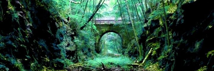 ForteanResearch's profile banner image