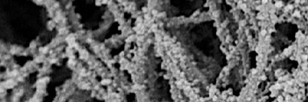 AttaBehfar Profile Banner