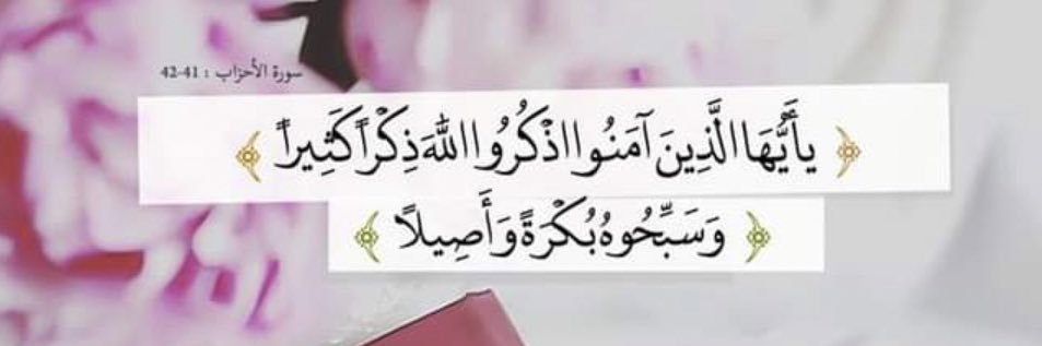 Areej19923's profile banner image