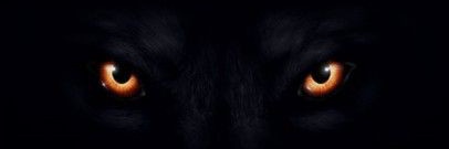 FahRen banner