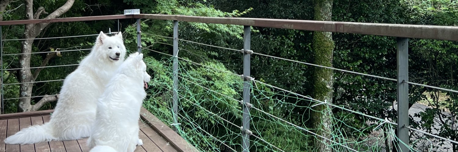 おのゆみ（やのゆみ） banner