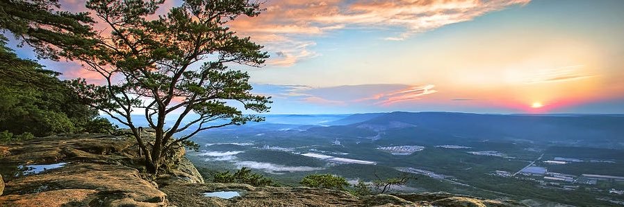 Newton Wiggins banner