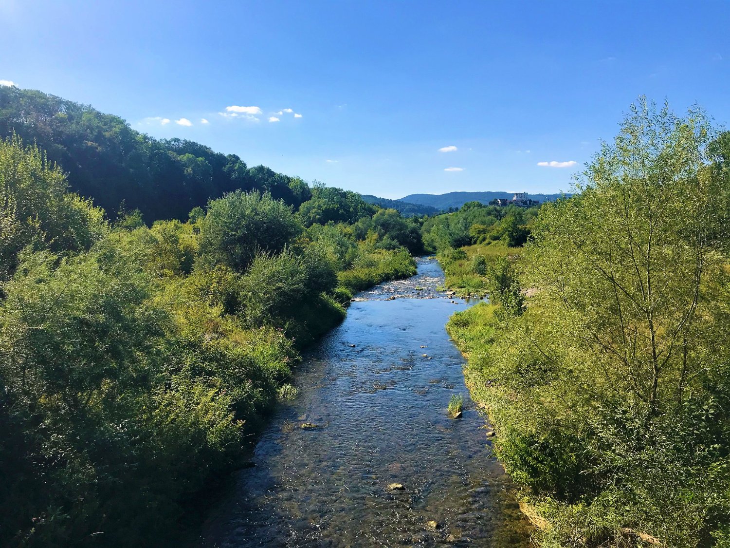 Matthias Betsche banner