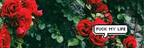 _trollqueen's profile banner image