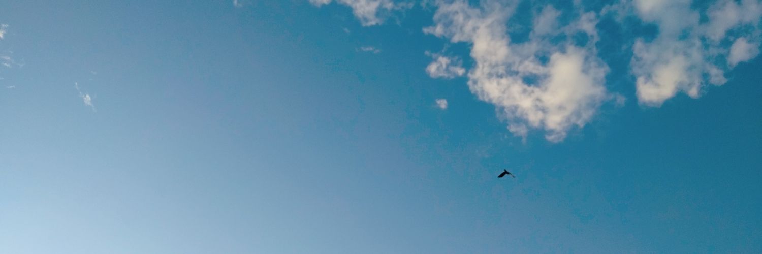 satocomet's profile banner image