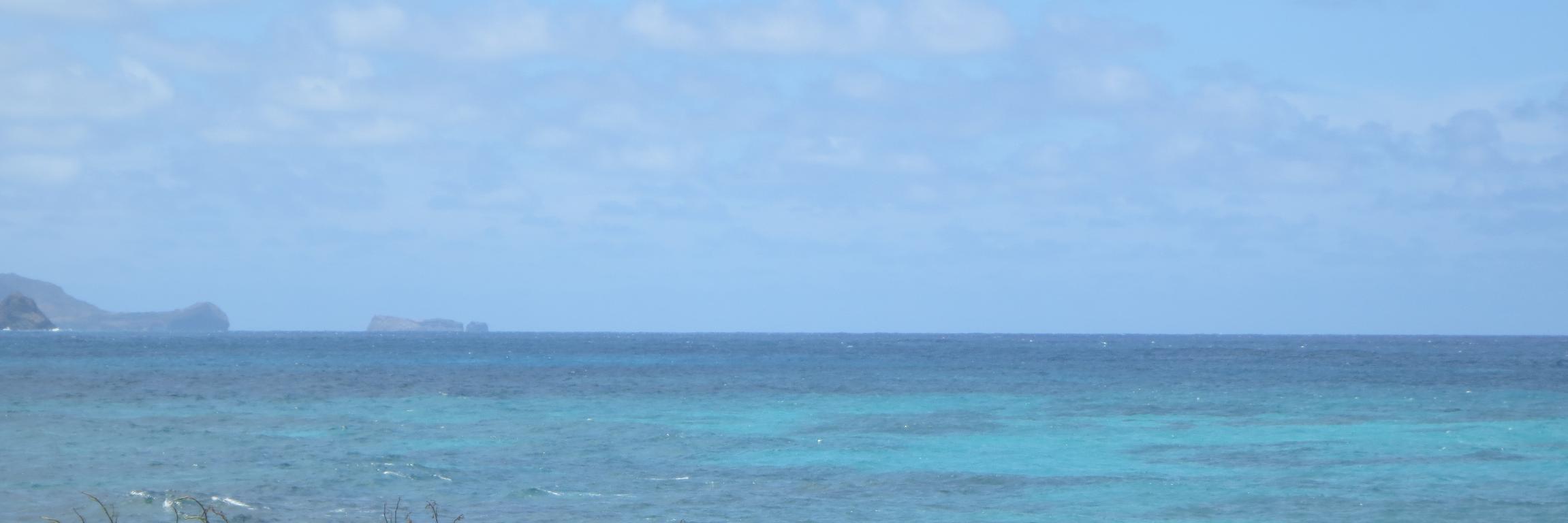 kawika craft banner