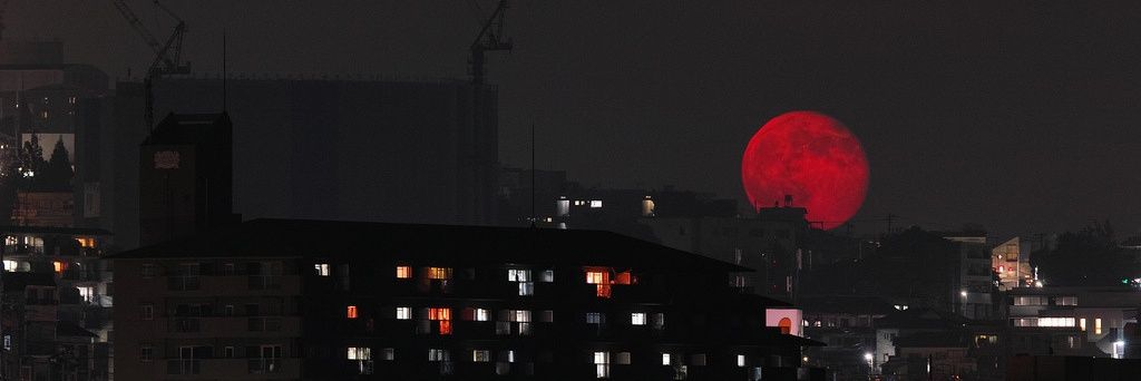 redalnim's profile banner image