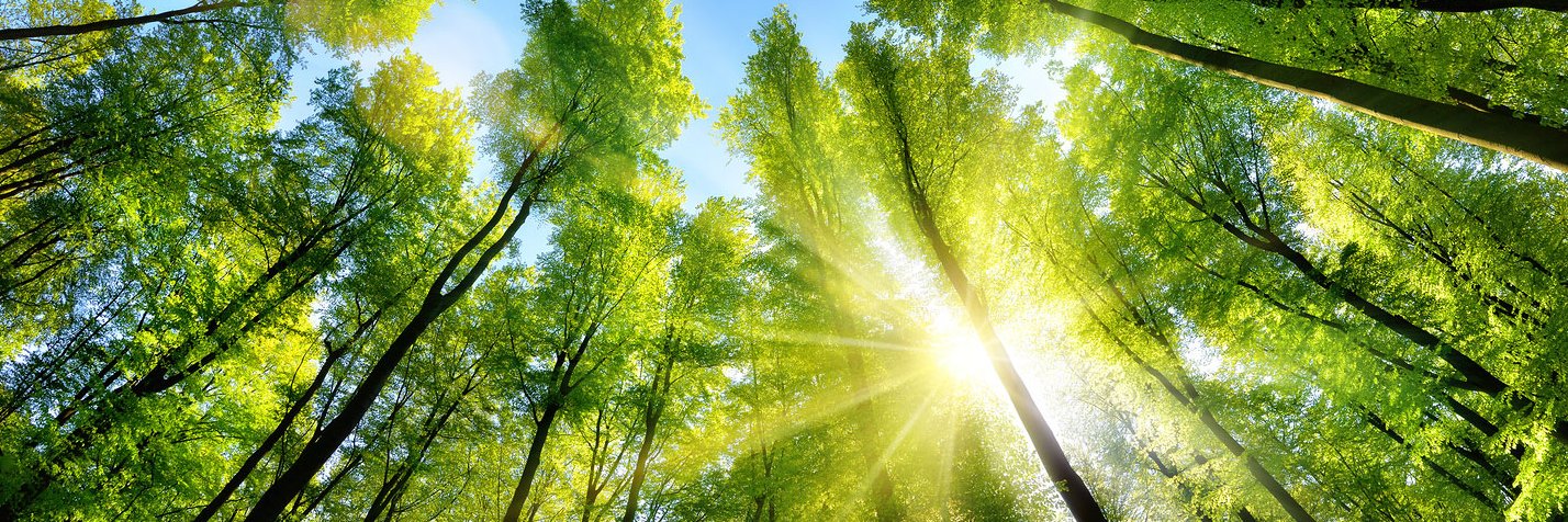 ClimateChange's banner