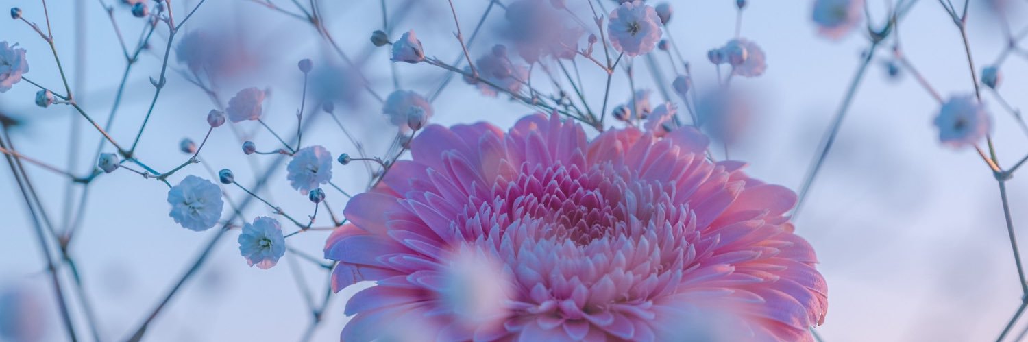 naruuni_gn's profile banner image