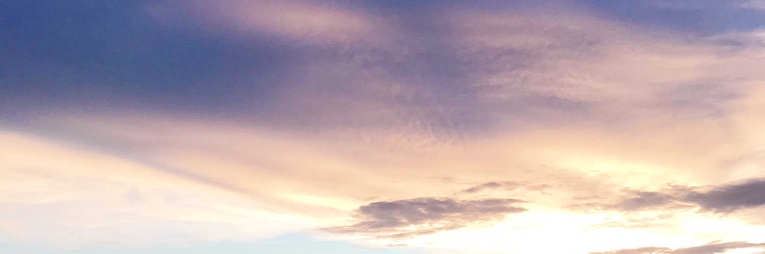 viirara's profile banner image