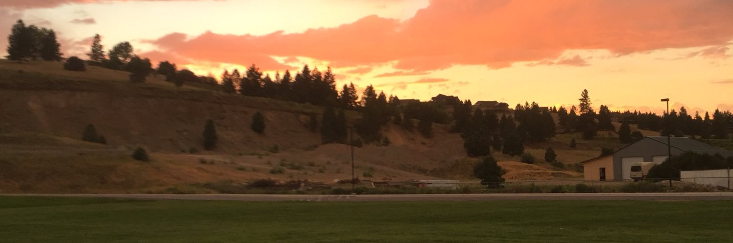 Huey Lewis & the Fake News banner