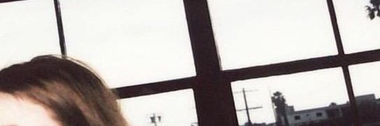 vann banner