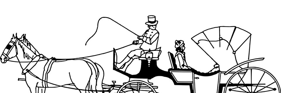 Professor de Charrete banner