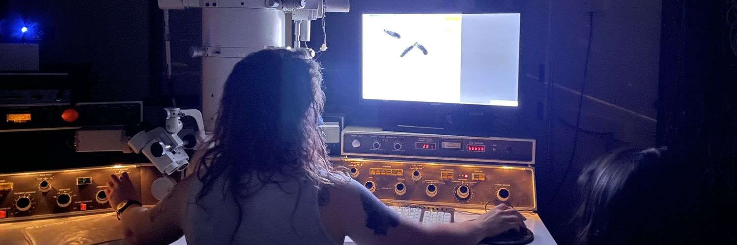 Danielle Campbell banner