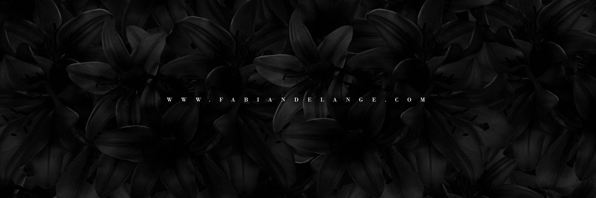fabian de lange banner