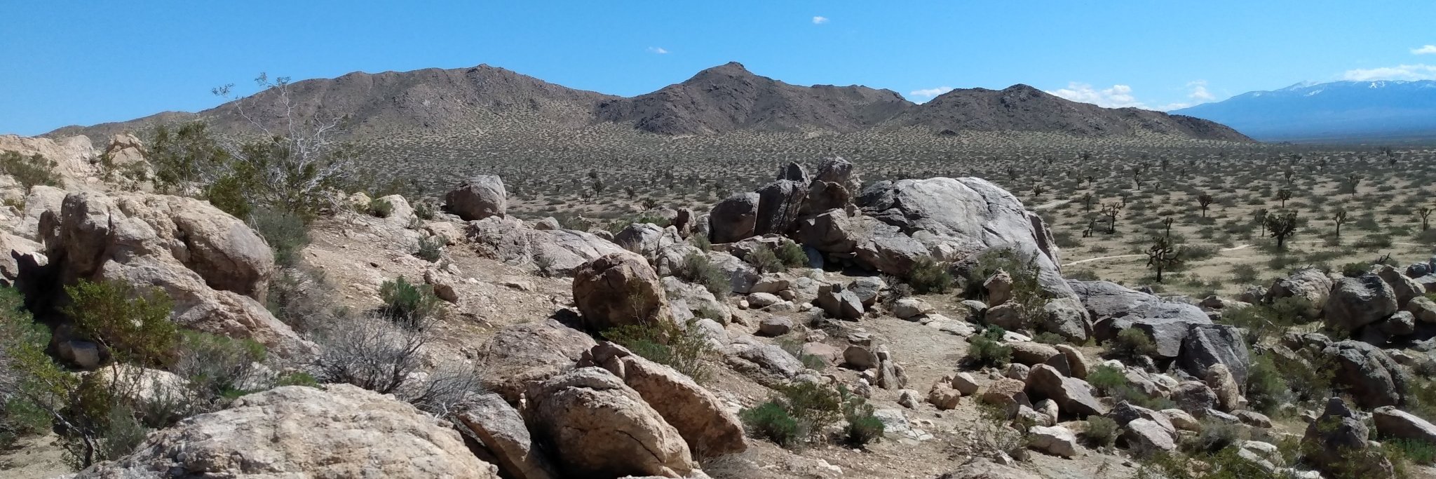 SaddlebackButte banner