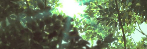 deedee_raa's profile banner image