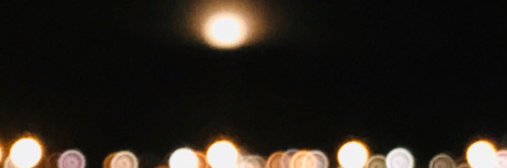 not ur hoe banner
