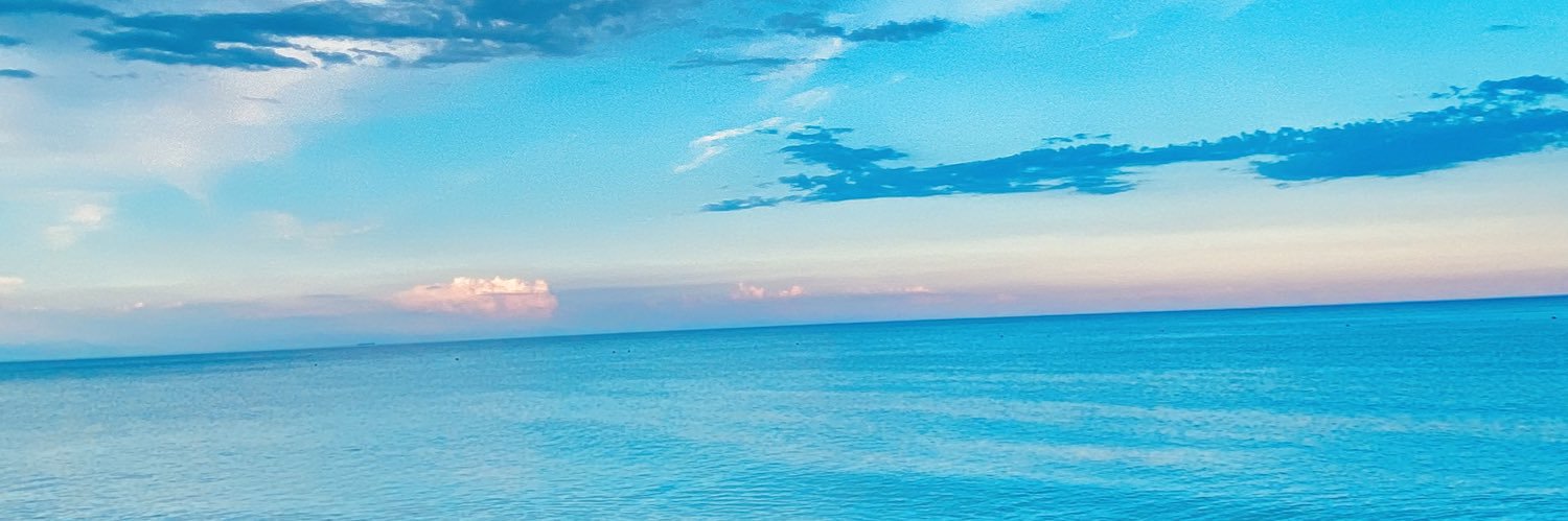 ligeiaaa's profile banner image