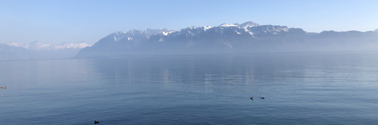 flyingdolphinat's profile banner image
