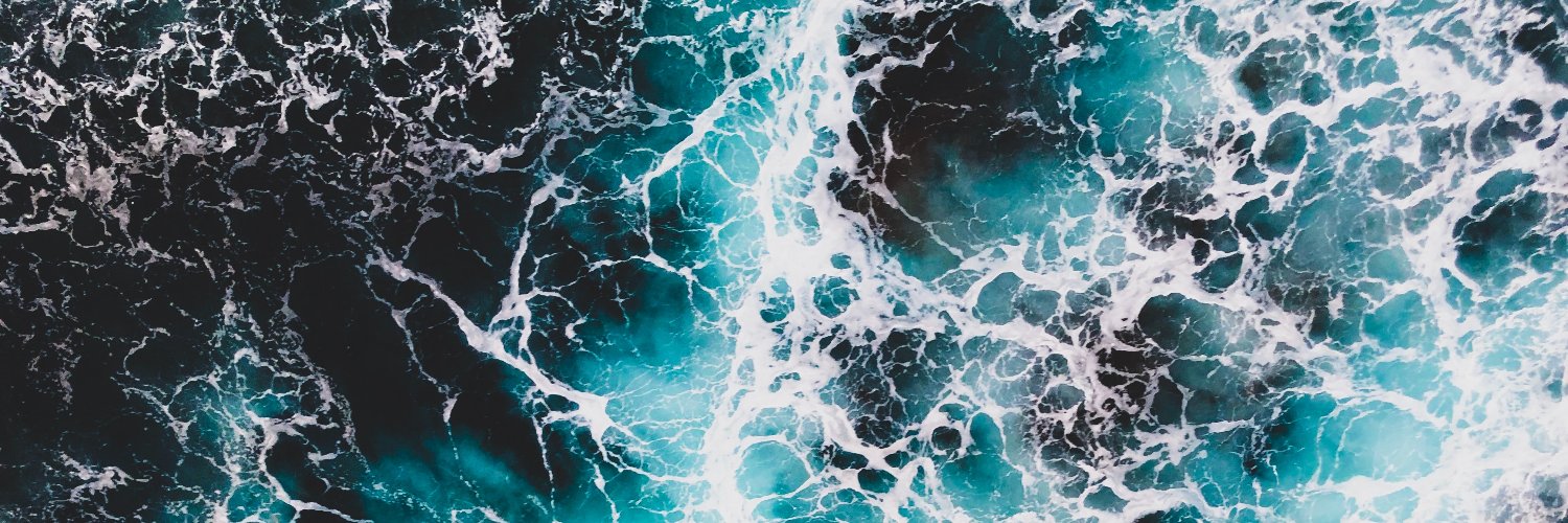 Dr Centaine Snoswell banner