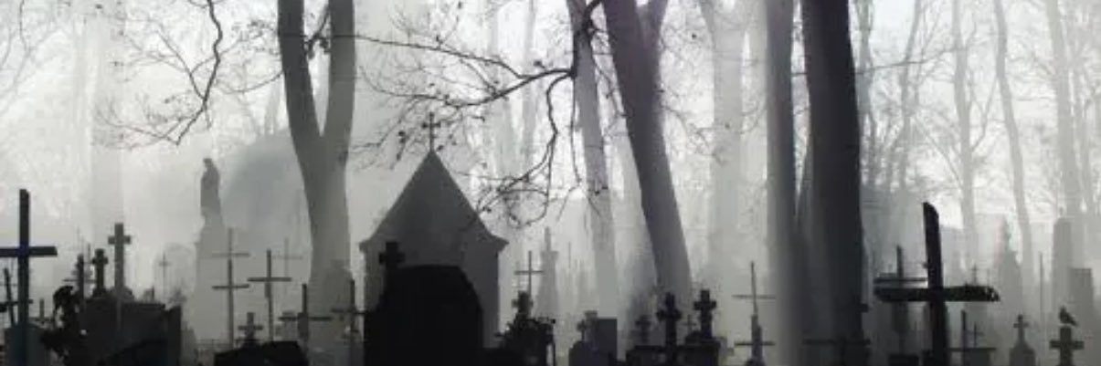 mutilatedprey's profile banner image