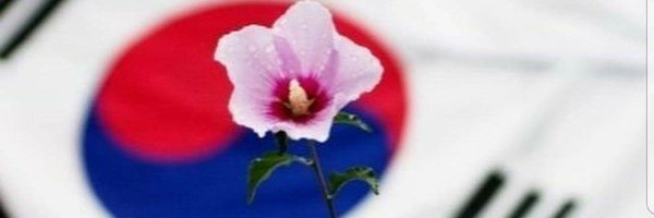 ynk1007 Profile Banner