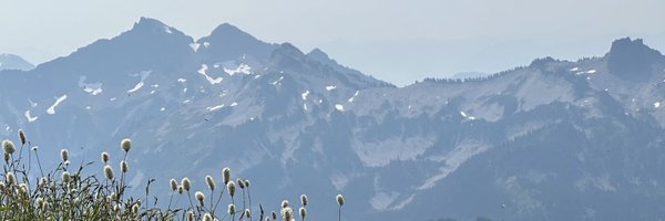 faeze_brh Profile Banner