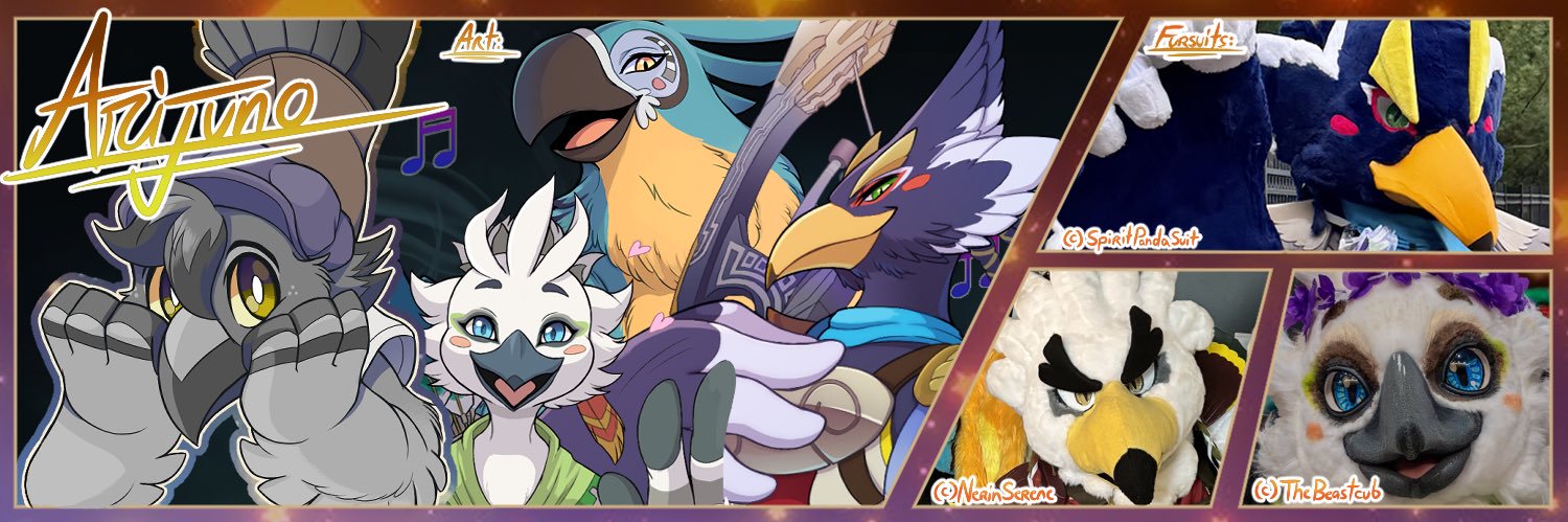 ⭐️ARIJUNO⭐️🪶🔜 TFF, FWA banner