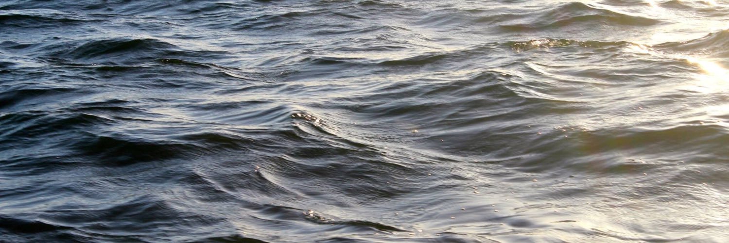 stephmr's profile banner image