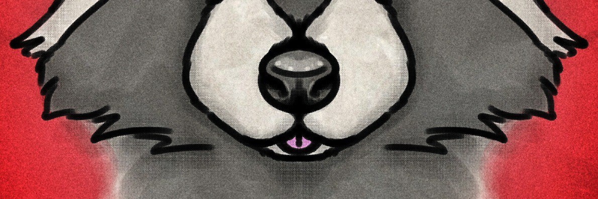 Raccoon ΘΔ ⓥ Ⓐ banner