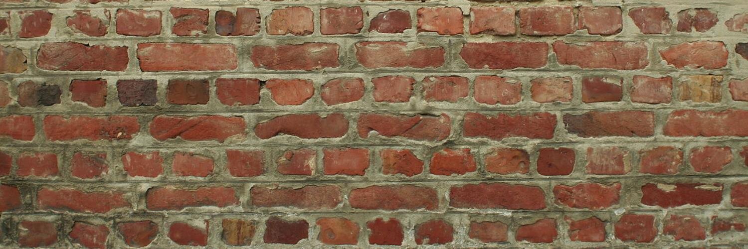 mimfinds's profile banner image