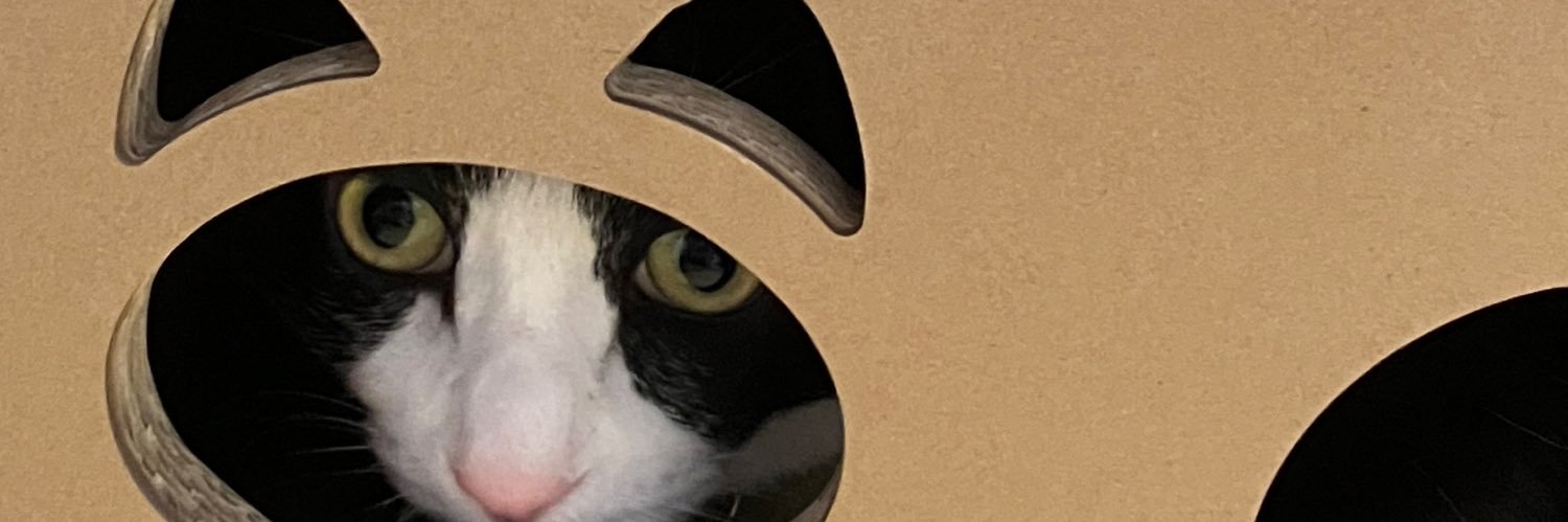 nnkzmd's profile banner image