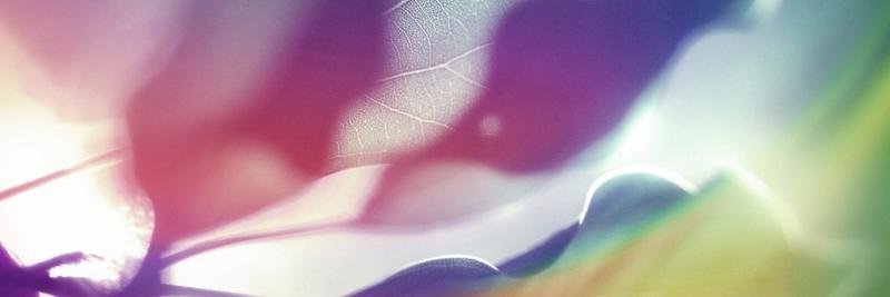 twittku_ID's profile banner image