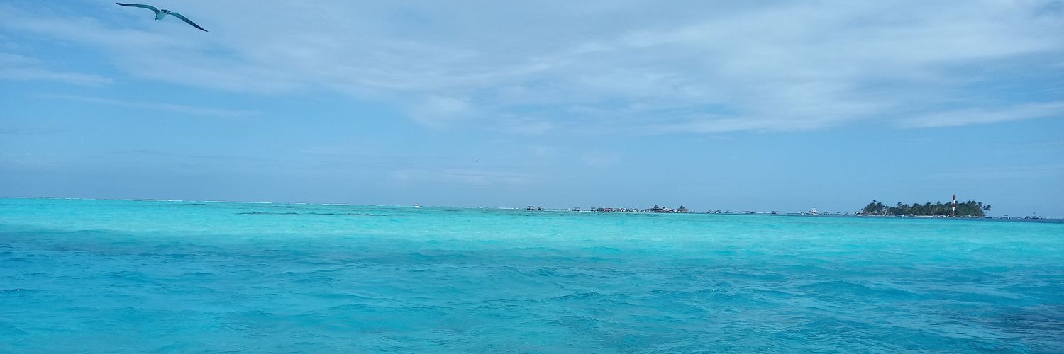 Robertpirest's profile banner image