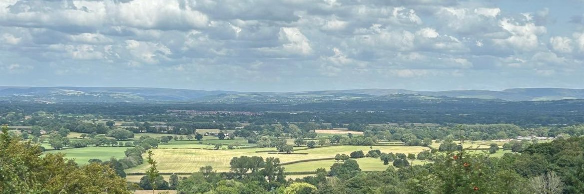 Teddy Jan 💙 banner