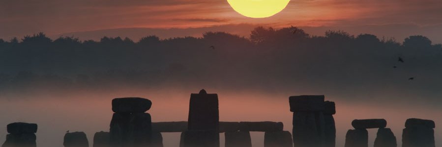 WhiskyTango AlphaFox 😷🇪🇺🍸 banner