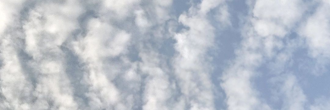 nickenniny's profile banner image