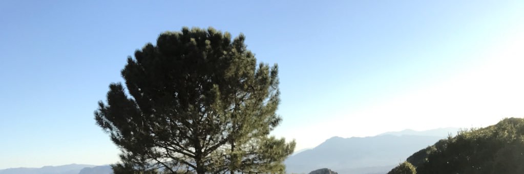 BiciLink's profile banner image