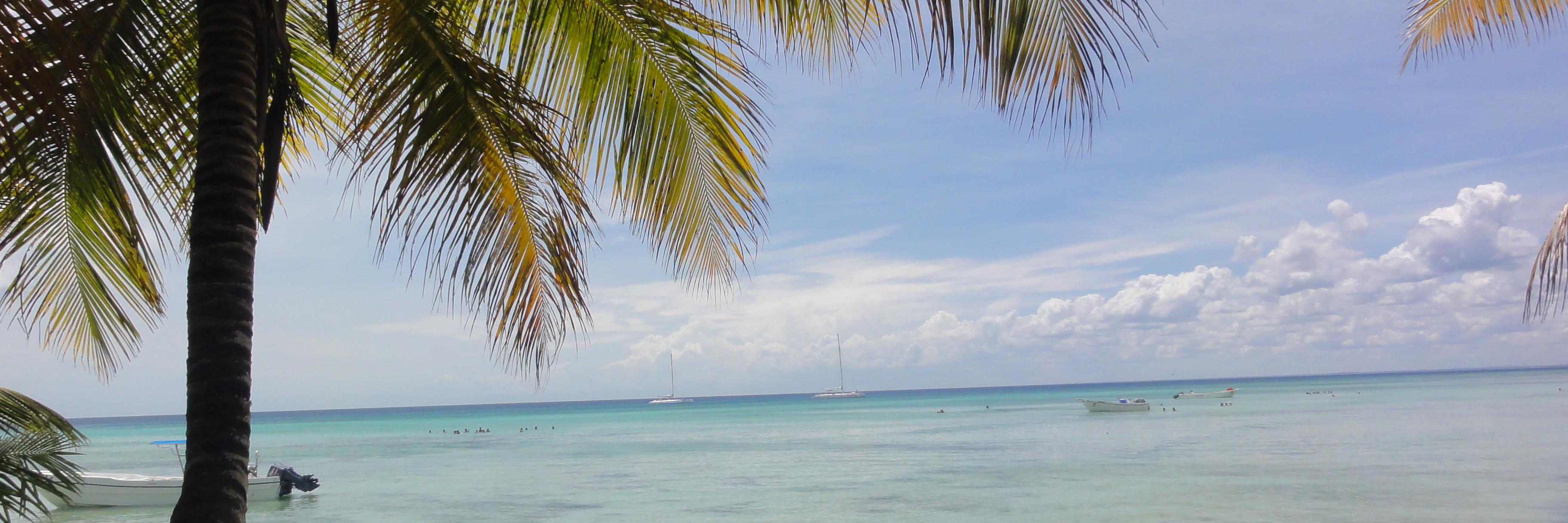 Energydutch's profile banner image