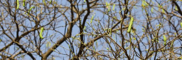 RahulKaranRedd1 Profile Banner