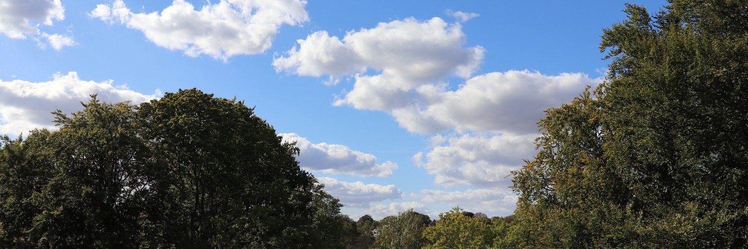 sanaaleem's profile banner image