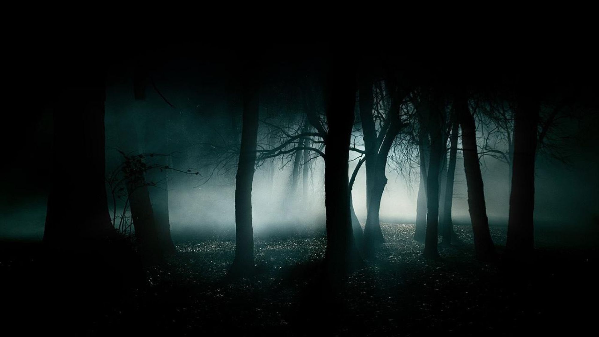 bezza65's profile banner image