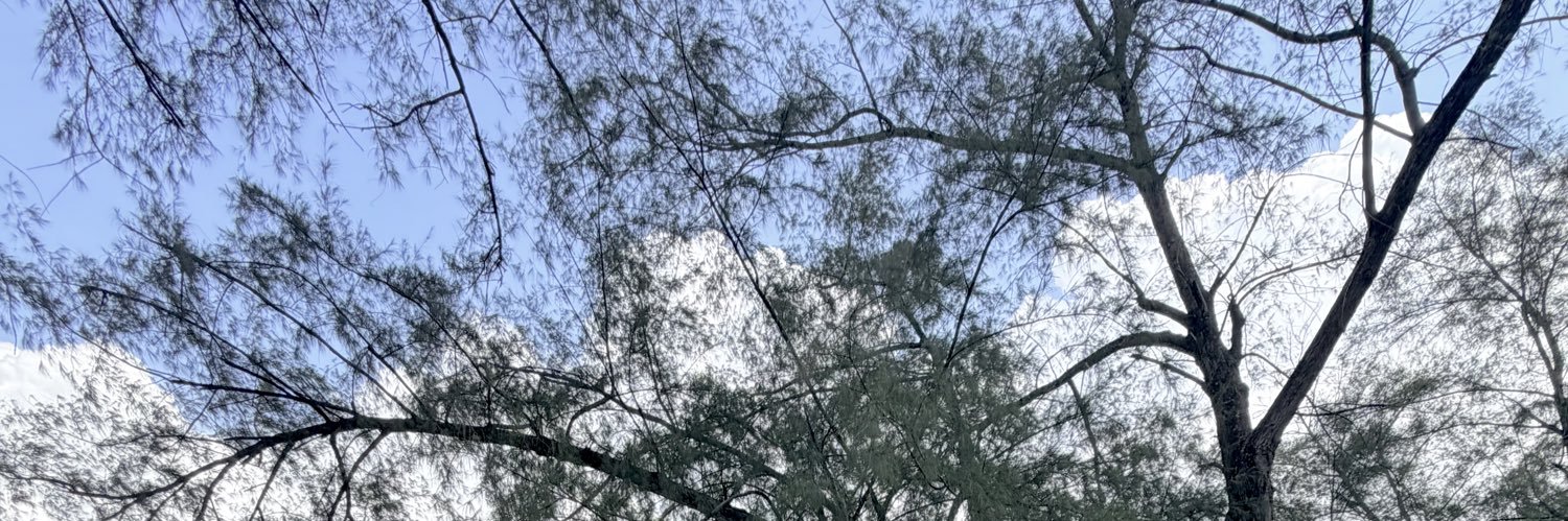 Farradyrah's profile banner image
