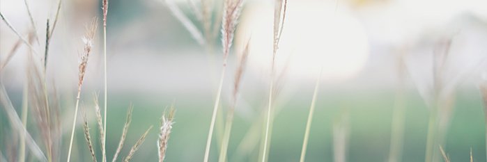 คุณคนสวย🍑 banner