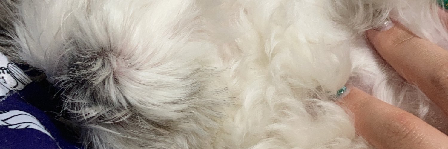 お月様🌙.*·̩͙ banner