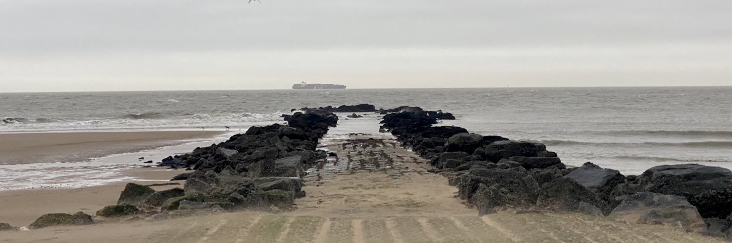 Bernard De Vriese banner