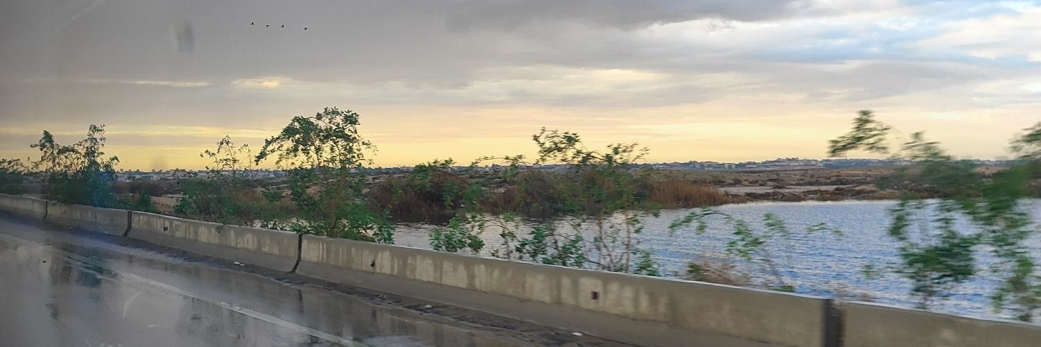 inexistenthana's profile banner image